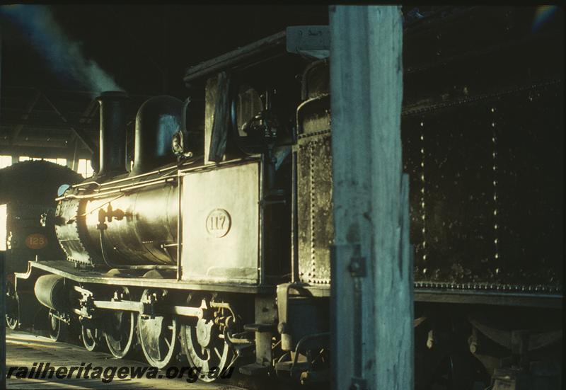 P11227
G class 117, roundhouse, Bunbury loco shed, G class 123 in front. SWR line.
