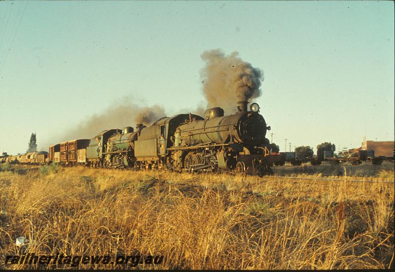 P11230
W class 942, W class, goods train.
