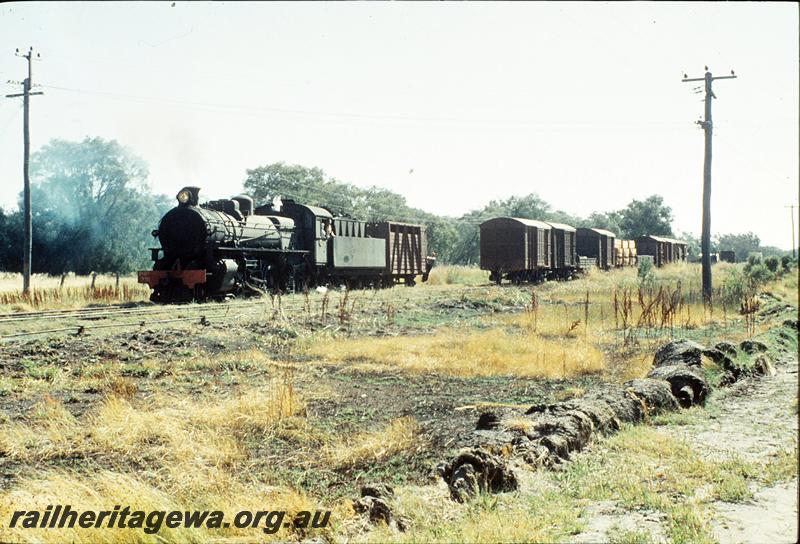 P11234
PMR class 731, shunting stock wagon into siding, remainder of train on main, Busselton Abattoirs?
