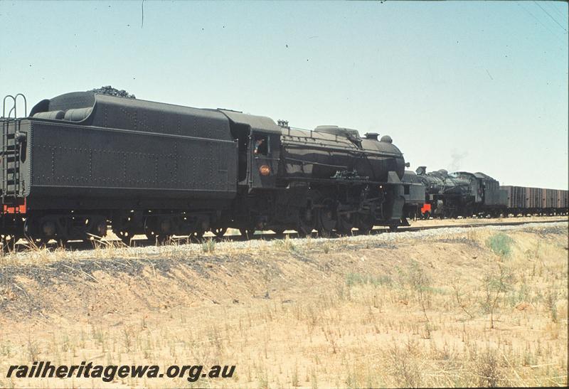 P11288
V class 1224 crosses W class and PMR class on goods train. GSR line.
