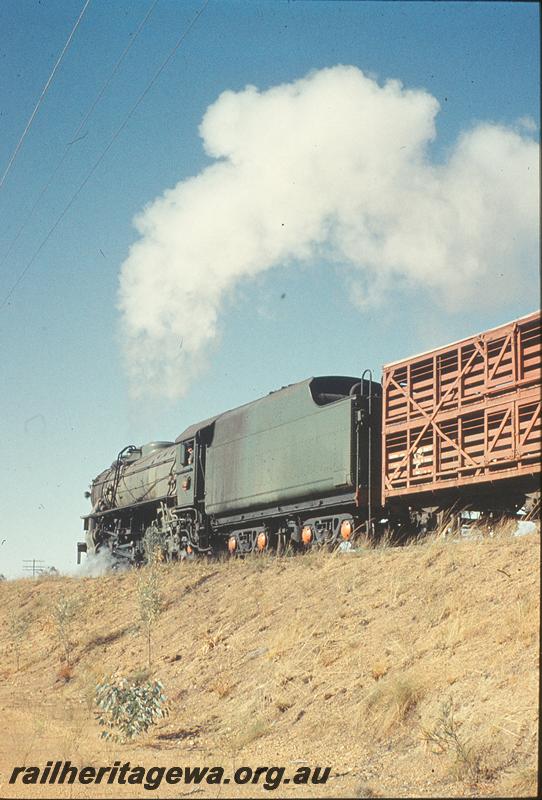 P11301
V class on goods train. GSR line.
