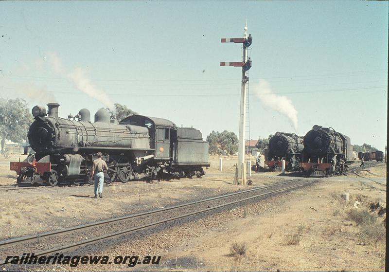 P11305
P class 503, V class 1206, V class 1216, home signals, south end of Brookton. GSR line.
