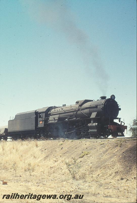 P11312
V class 1216 on down goods, stalled on Cuballing bank. GSR line.
