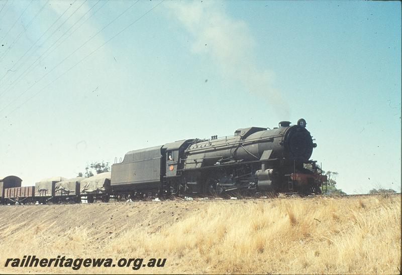 P11313
V class 1216 on down goods, stalled on Cuballing bank. GSR line.
