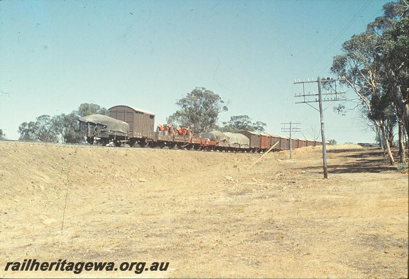 P11314
Forward part of halved train leaving for Narrogin, Cuballing bank. GSR line.
