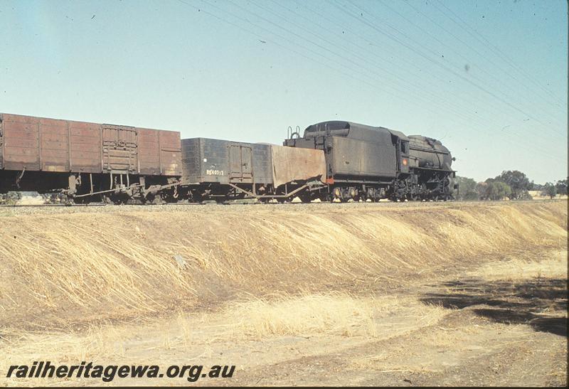 P11319
V class 1216 leaving with rear half of train, leading wagon is ex MRWA RBM class 40717 bogie open wagon, half the wagon covered with a tarpaulin, Cuballing bank. GSR line.
