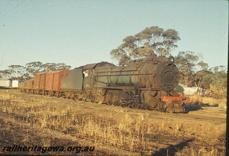 P11324
S class 546, shunting, Williams. BN line.
