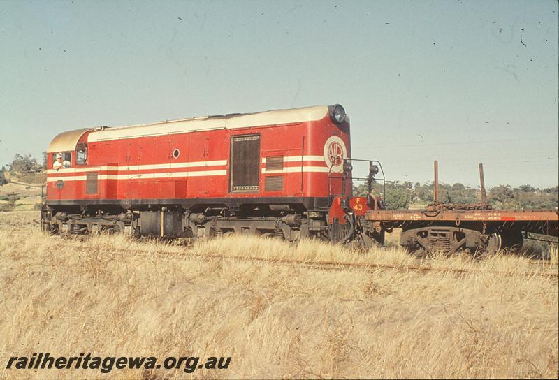 P11386
F class 43 in MRWA livery with 