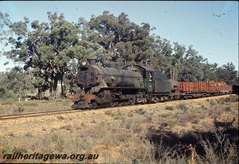 P11457
W class 955, goods train.
