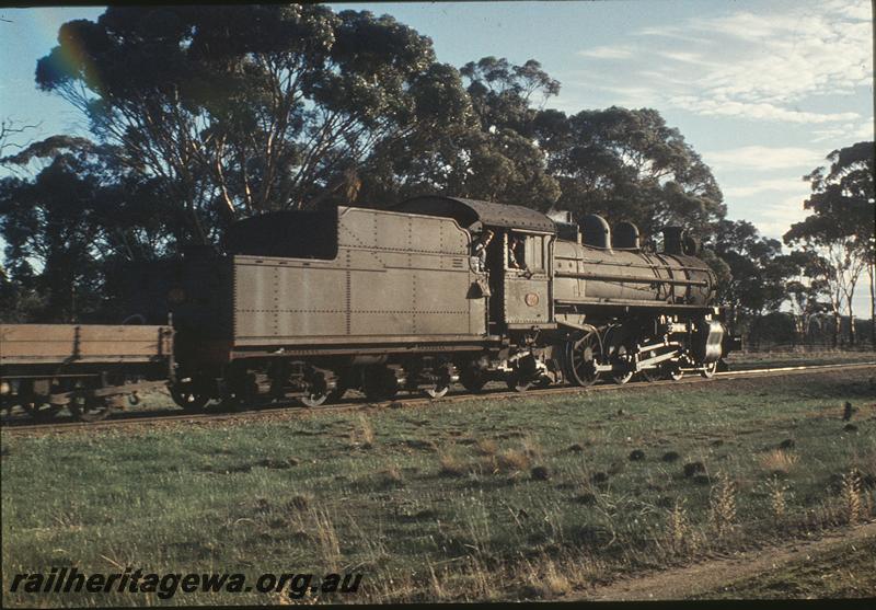 P11469
P class 505, goods train, end and side view.
