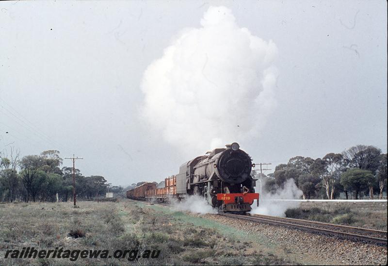 P11501
V class 1219, up goods. GSR line.
