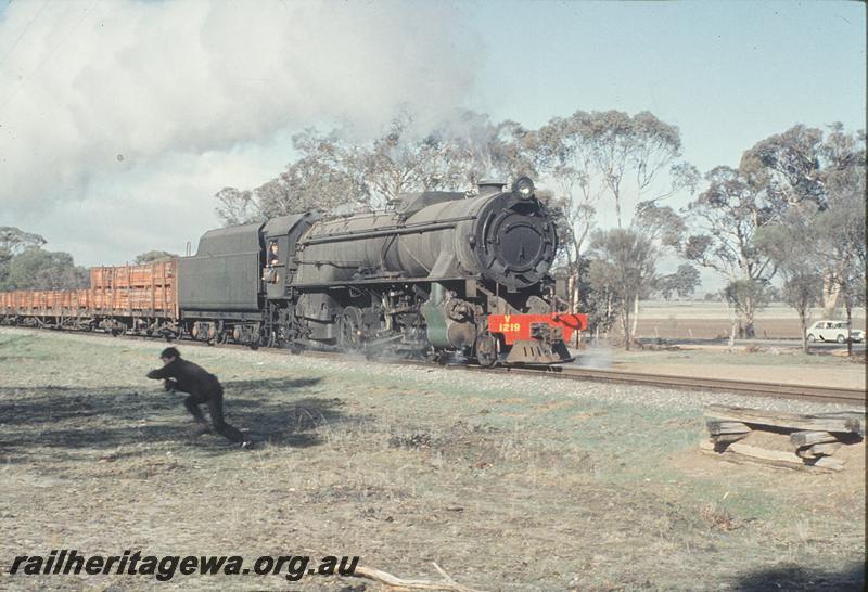 P11503
V class 1219, up goods. GSR line.
