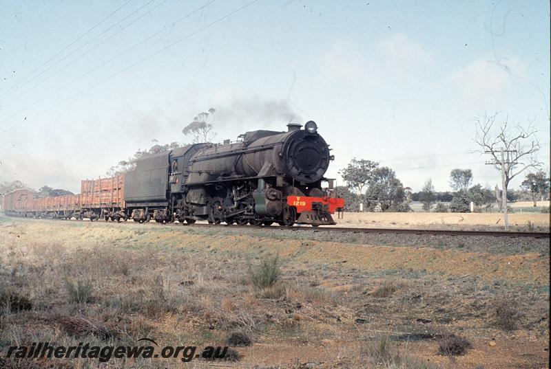 P11505
V class 1219, up goods. GSR line.
