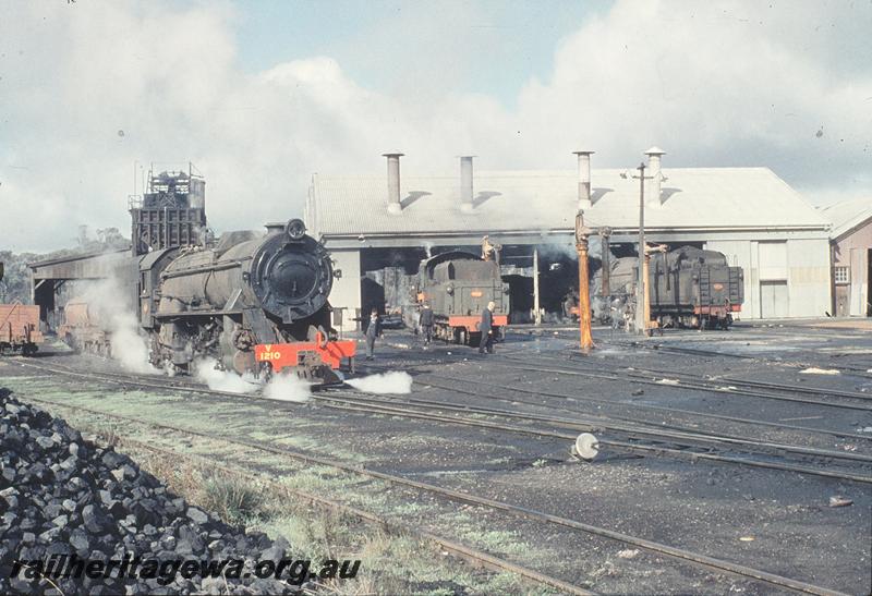 P11507
V class 1210, W class 902, V class, coaling tower, water column, loco shed, Narrogin. GSR line.
