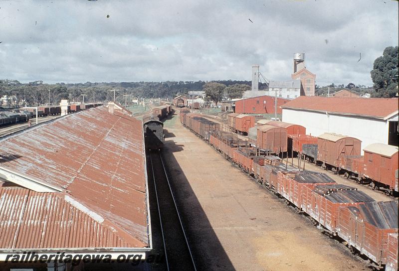 P11510
Narrogin, overall view from footbridge, up side yard, loco shed in distance. GSR line.
