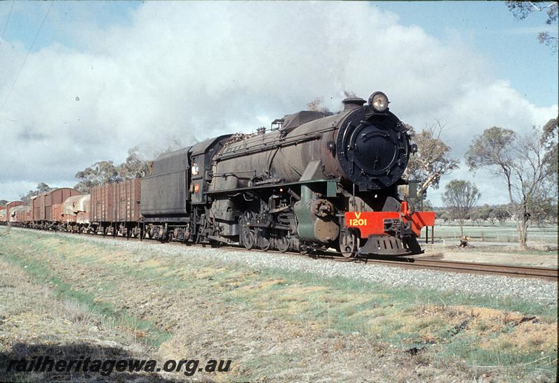 P11511
V class 1201, up goods. GSR line.
