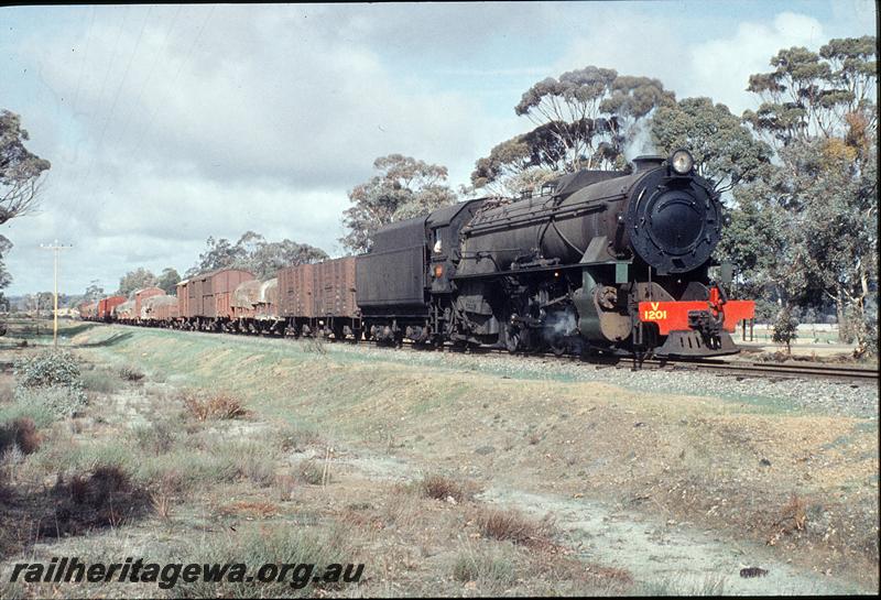 P11512
V class 1201, up goods. GSR line.
