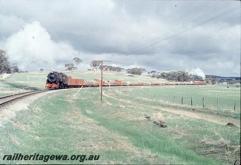 P11522
V class 1210, assisted in rear of train by V class 1201, Cuballing bank. GSR line.
