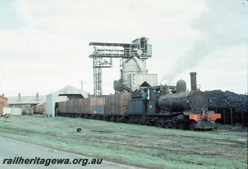P11539
G class 123, coaling tower, roundhouse in background, shunting coal wagons into coal unloading shed, Bunbury loco shed. SWR line.
