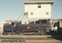 P11597.jpg