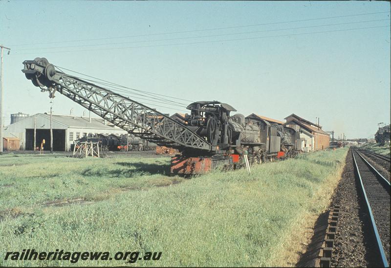 P11607
Crane 28, stabled, East Perth loco shed, Mount Lawley end of East Perth loco shed. ER line.
