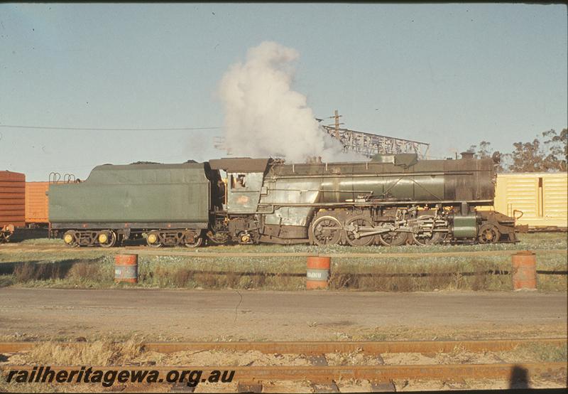 P11617
V class, coal dam gantry in background, Midland Workshops access. ER line.
