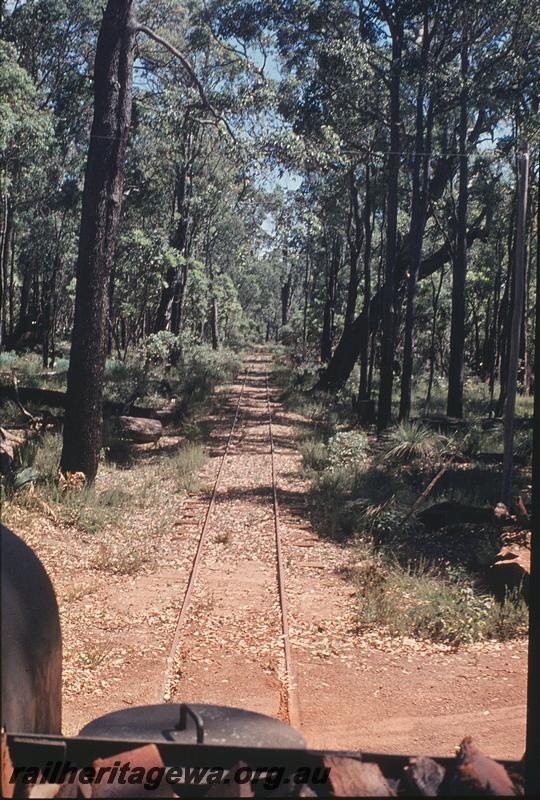 P11793
Track from Yornup to Donnelly River mill, from tender of 86.
