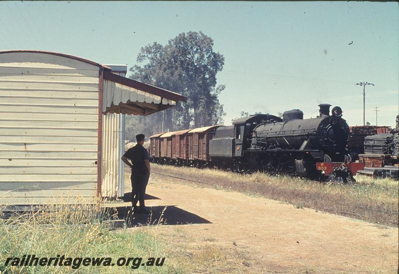 P11833
W class 953 on No. 224 Goods, goods, station buildings, Wilga, DK line.
