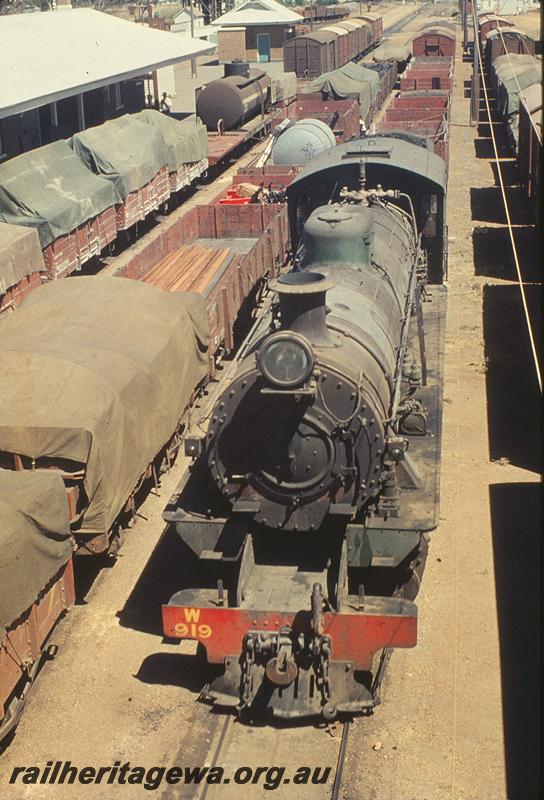 P11836
W class 919, Narrogin yard. GSR line.
