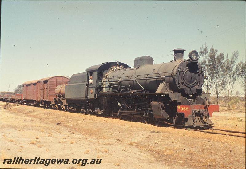 P11837
W class 955, goods train. Unknown location.
