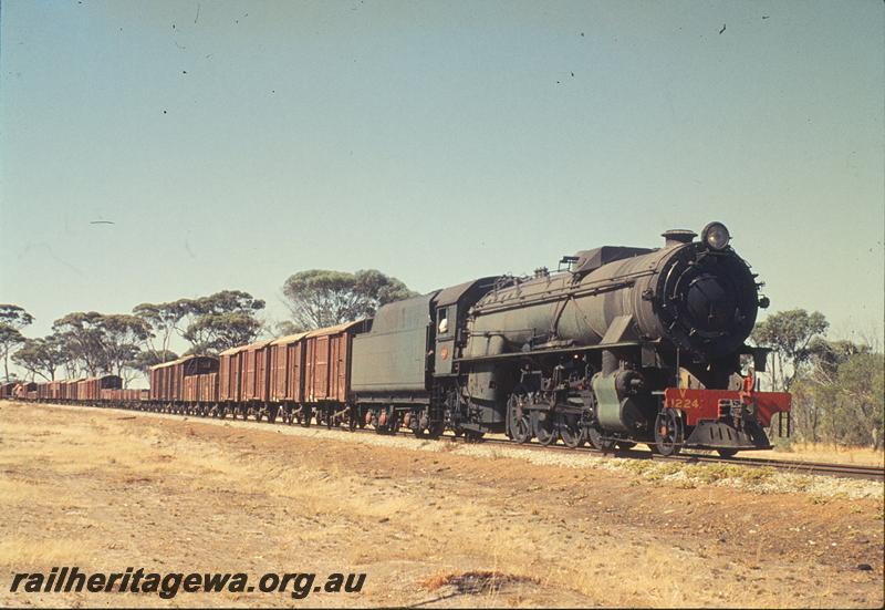 P11838
V class 1224, down goods. GSR line.
