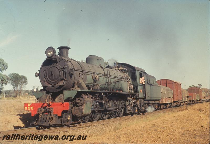 P11847
W class 950, goods train. Unknown location.
