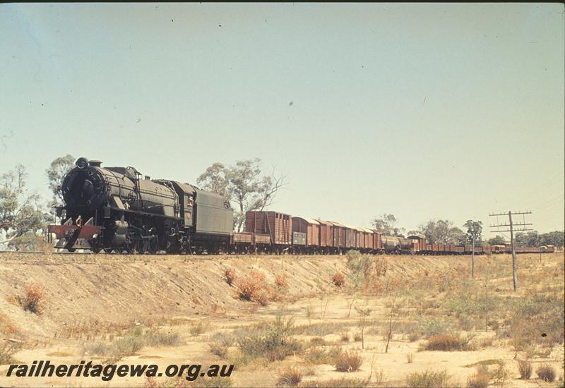 P11855
V class 1210, up goods, ex MRWA wagon in consist, GSR line.
