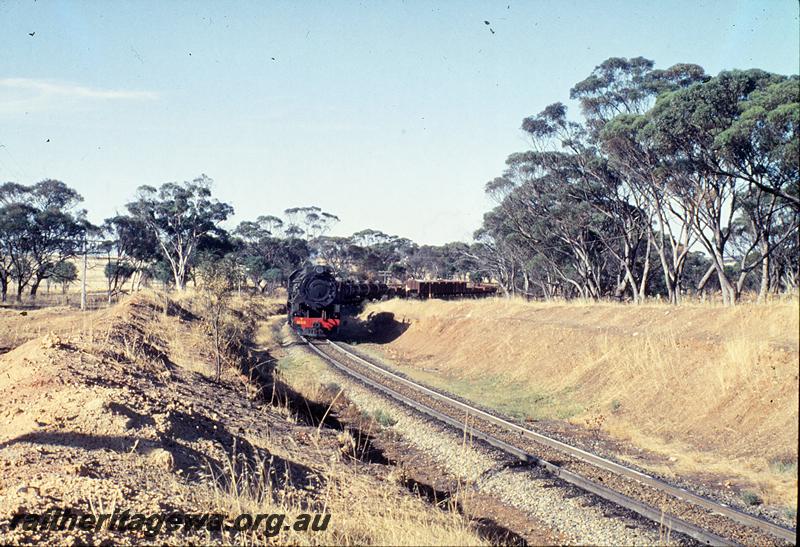 P11865
V class 1222, down goods, Cuballing bank. GSR line.
