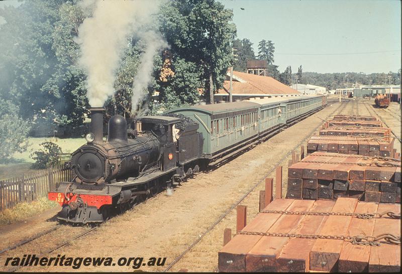 P11935
G class 123 on special train, Donnybrook. PP line.
