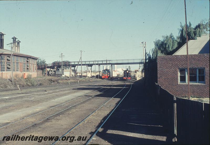 P11943
G class 123 on special train, arriving Bunbury, H class 18 near roundhouse, X class, ADF class under footbridge. SWR line.
