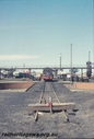 P11965.jpg
