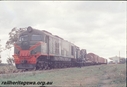 P11968.jpg