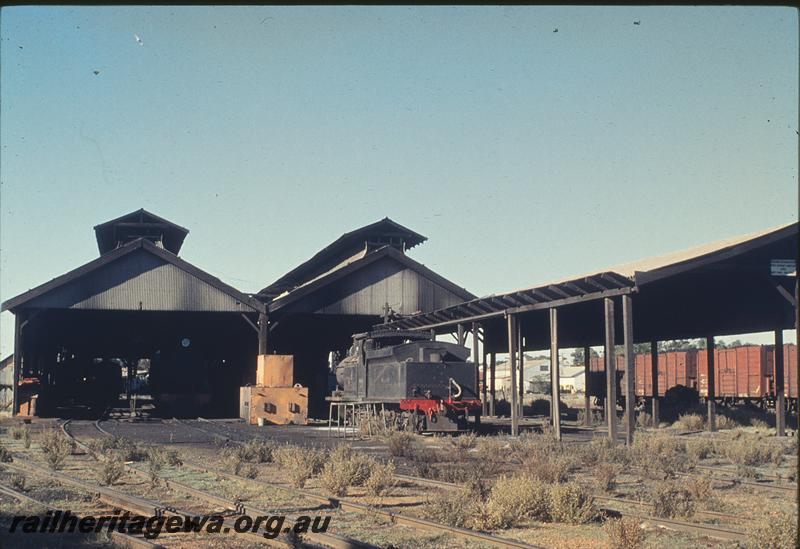 P12132
O class 218, general view Northam loco shed. ER line.
