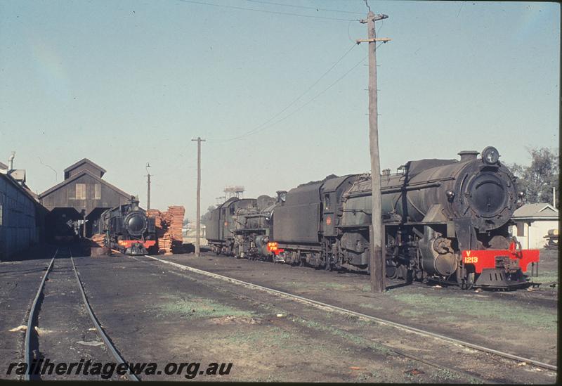 P12143
V class 1213, PMR class 731, DM class 587, East Perth loco shed. ER line.
