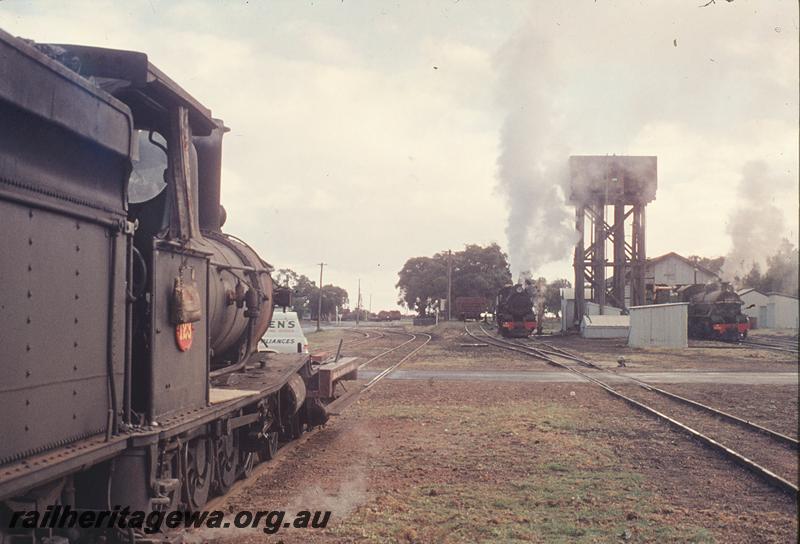 P12205
G class 123, NS class 4341 shunters float, W class 927, W class 908 at loco shed, water tower, coaling ramp, Busselton, BB line.
