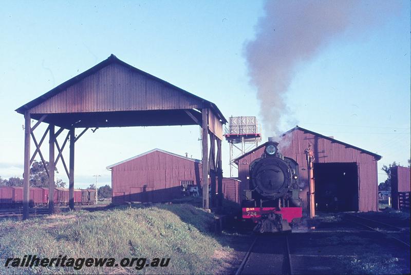 P12285
PMR class 724, Pinjarra loco shed, coal loading ramp. SWR line.
