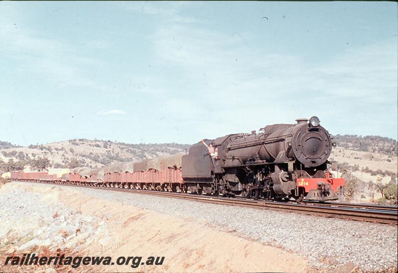 P12399
V class 1214, 24 goods, near Upper Swan Storage Depot. Avon Valley line.
