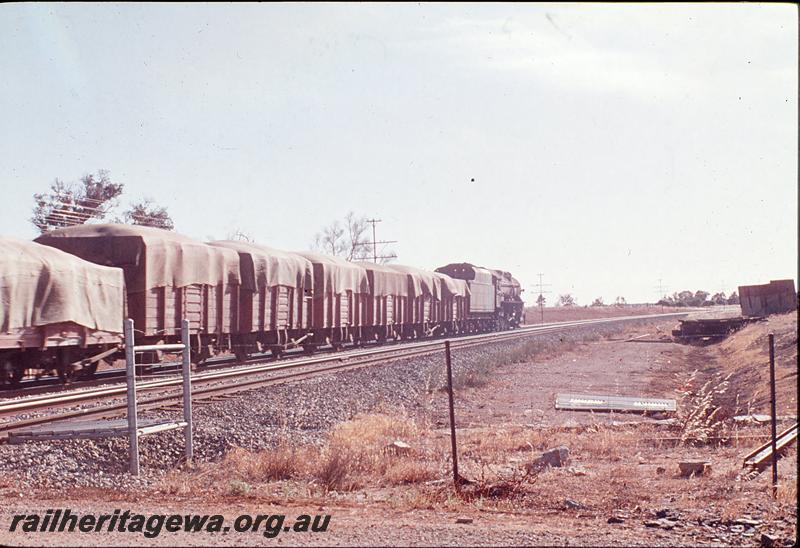 P12400
V class 1214, 24 goods, near Upper Swan Storage Depot. Avon Valley line.
