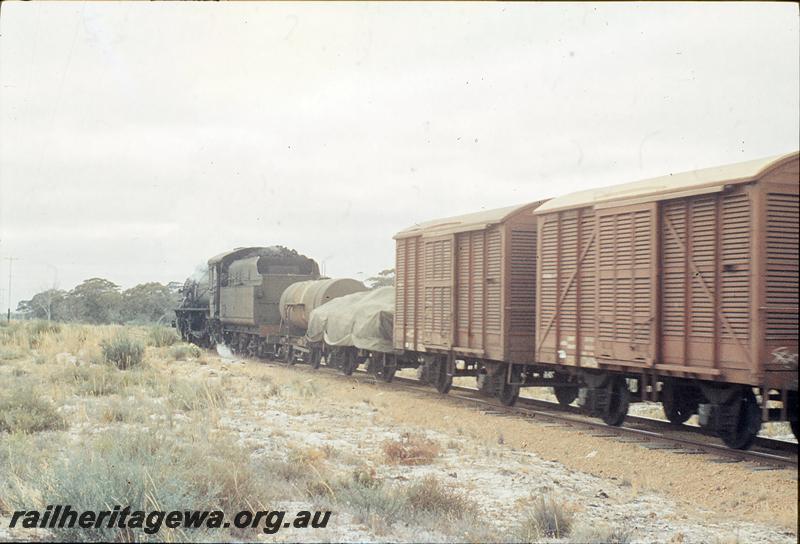 P12467
W class 943, No 59 goods, near Toolibin, rear view, NKM line.
