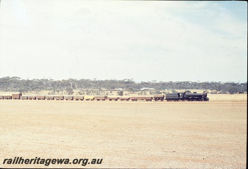 P12468
W class, water gin attached, wheat bin, bulkheads and wagons at Nippering in background, No 54 goods, west of Nippering, WLG line.
