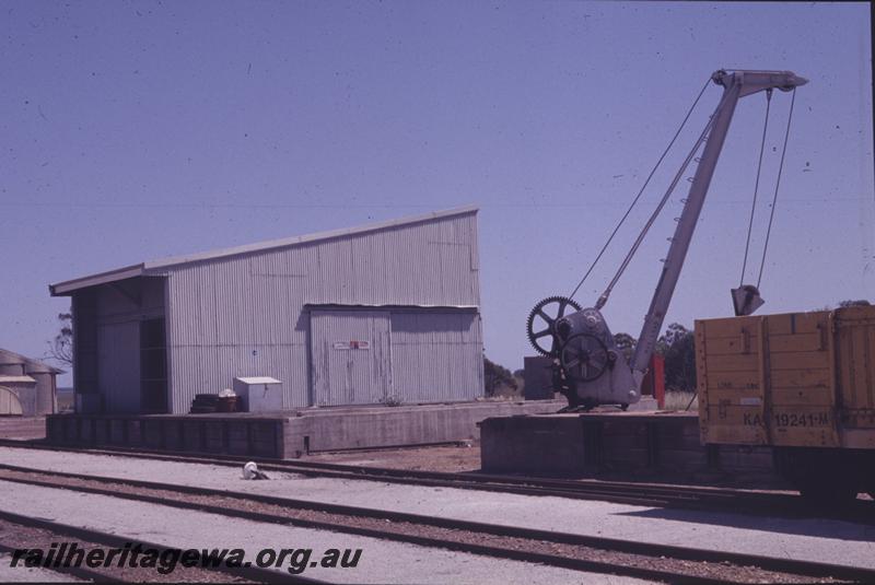 P12636
Goods shed, Platform crane, partial view of KA class 19241-M, Goomalling, EM line, trackside and end view.
