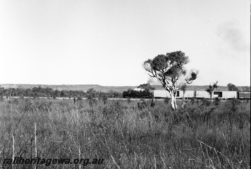 P12758
DD/DM class loco on a goods train with two ex standard gauge VWV class vans in consist, distant side on view.
