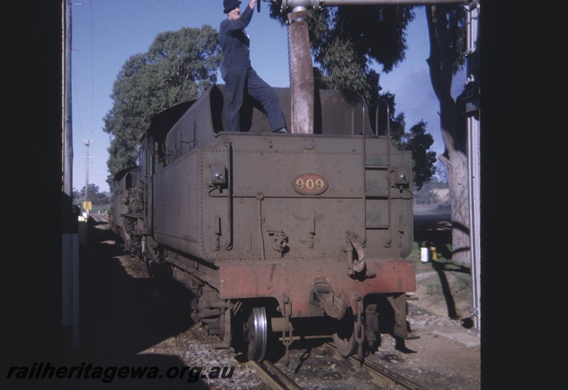 P12837
W class 909 coupled to another W class, rear view of tender, Kojonup, DK line, driver Ron Williams filling the tender with water. 
