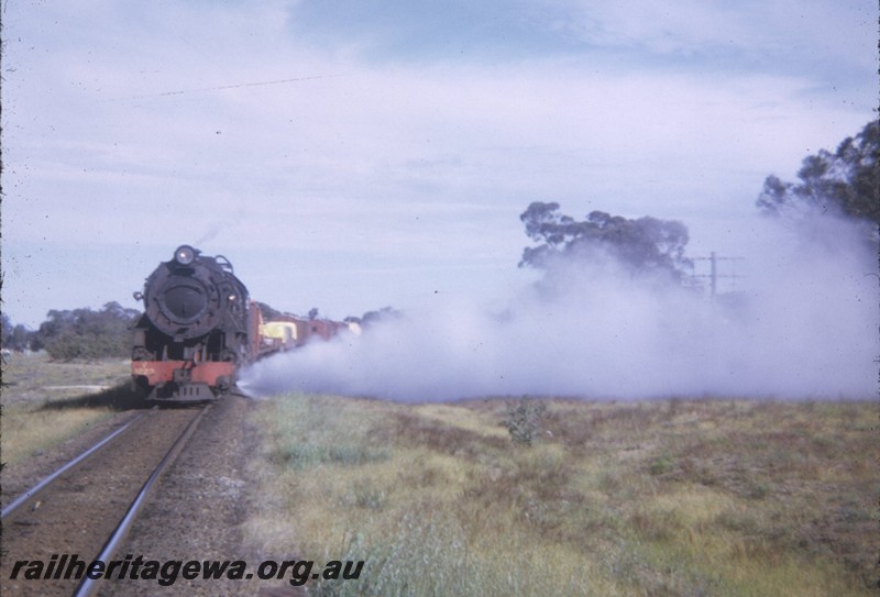 P12839
V class 1223, head on view, 